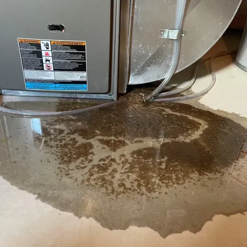 Appliance Leak Cleanup in Ponchatoula, LA